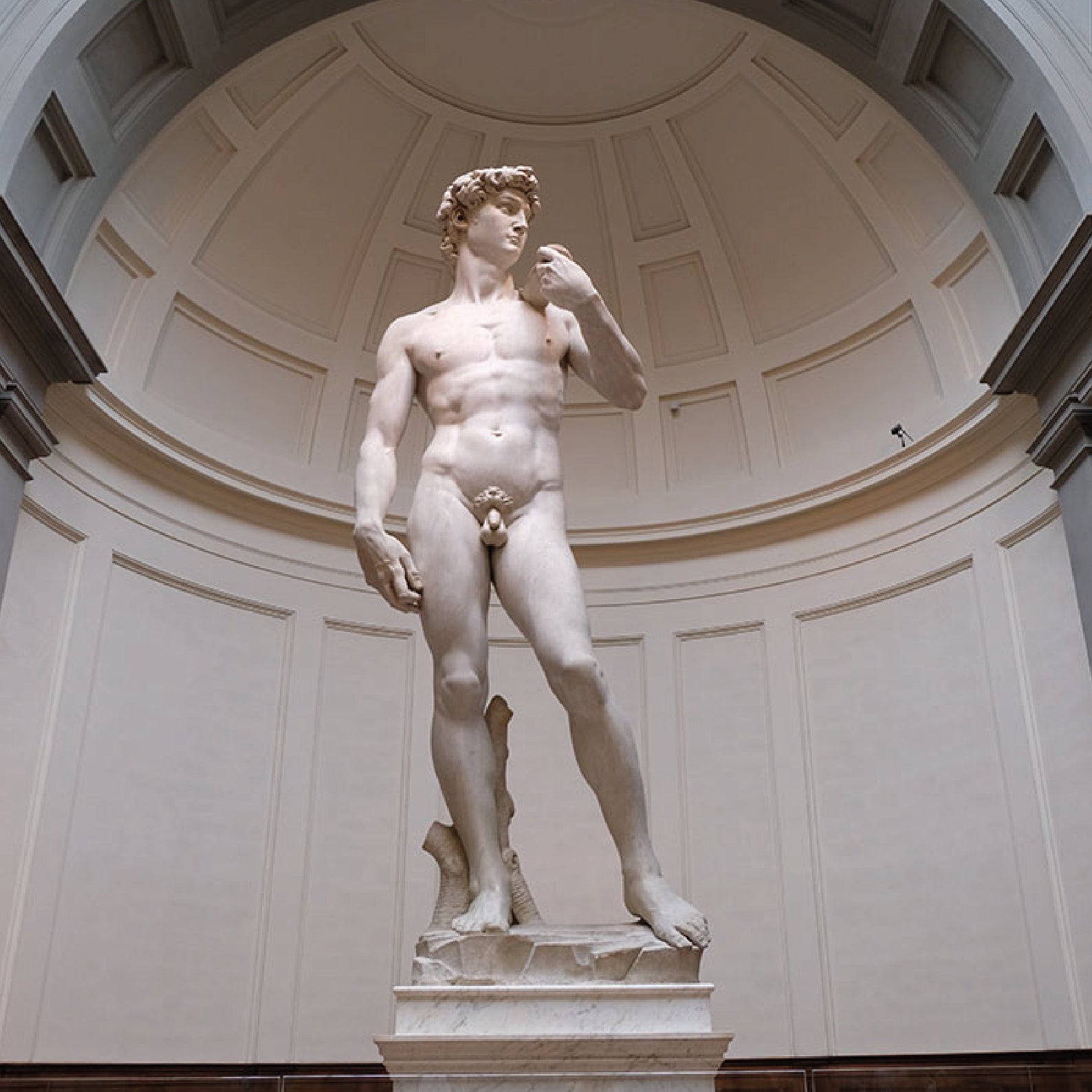 Meet Michelangelo: Guided Tour of the Accademia Gallery