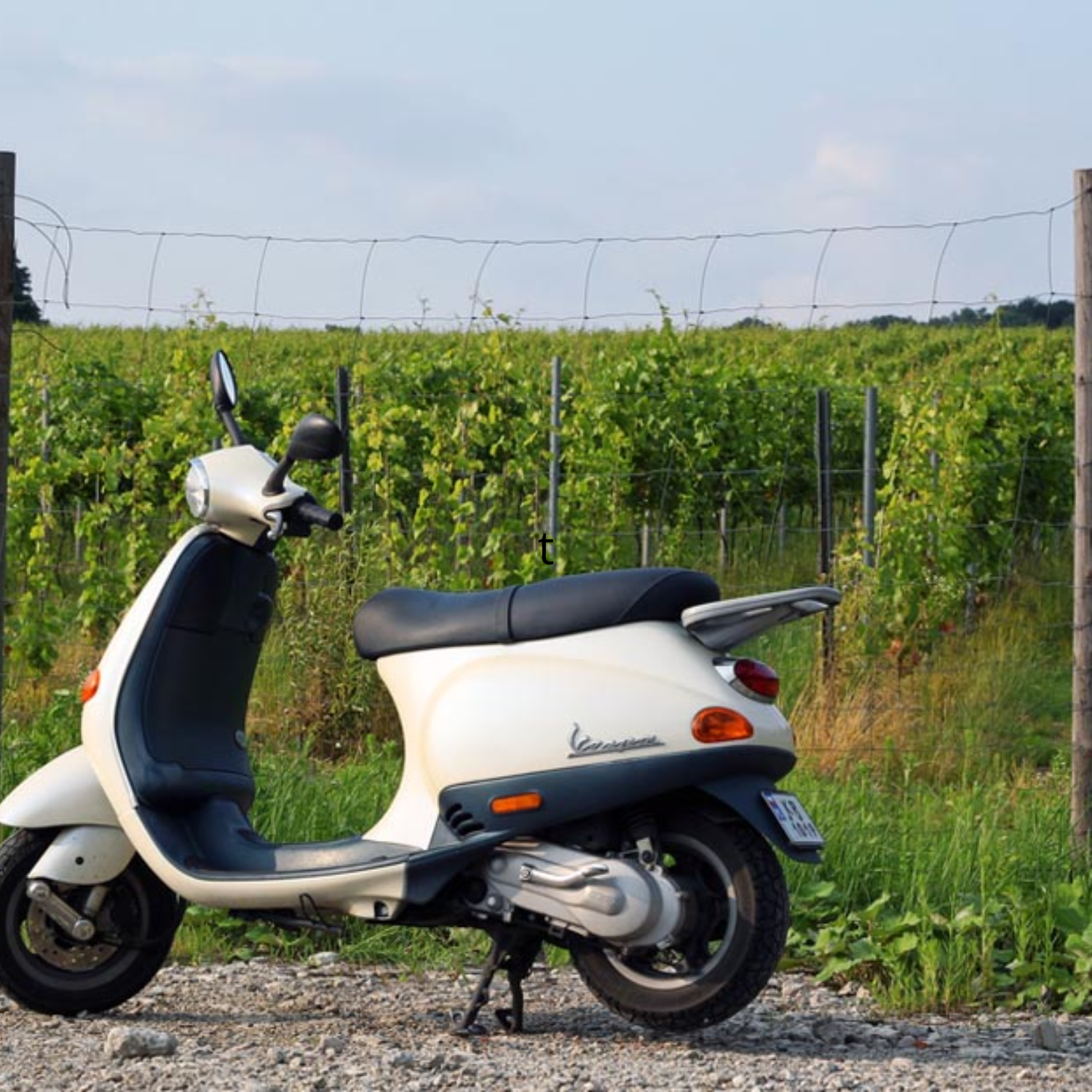 Tuscany by Vespa: Small Group Tour