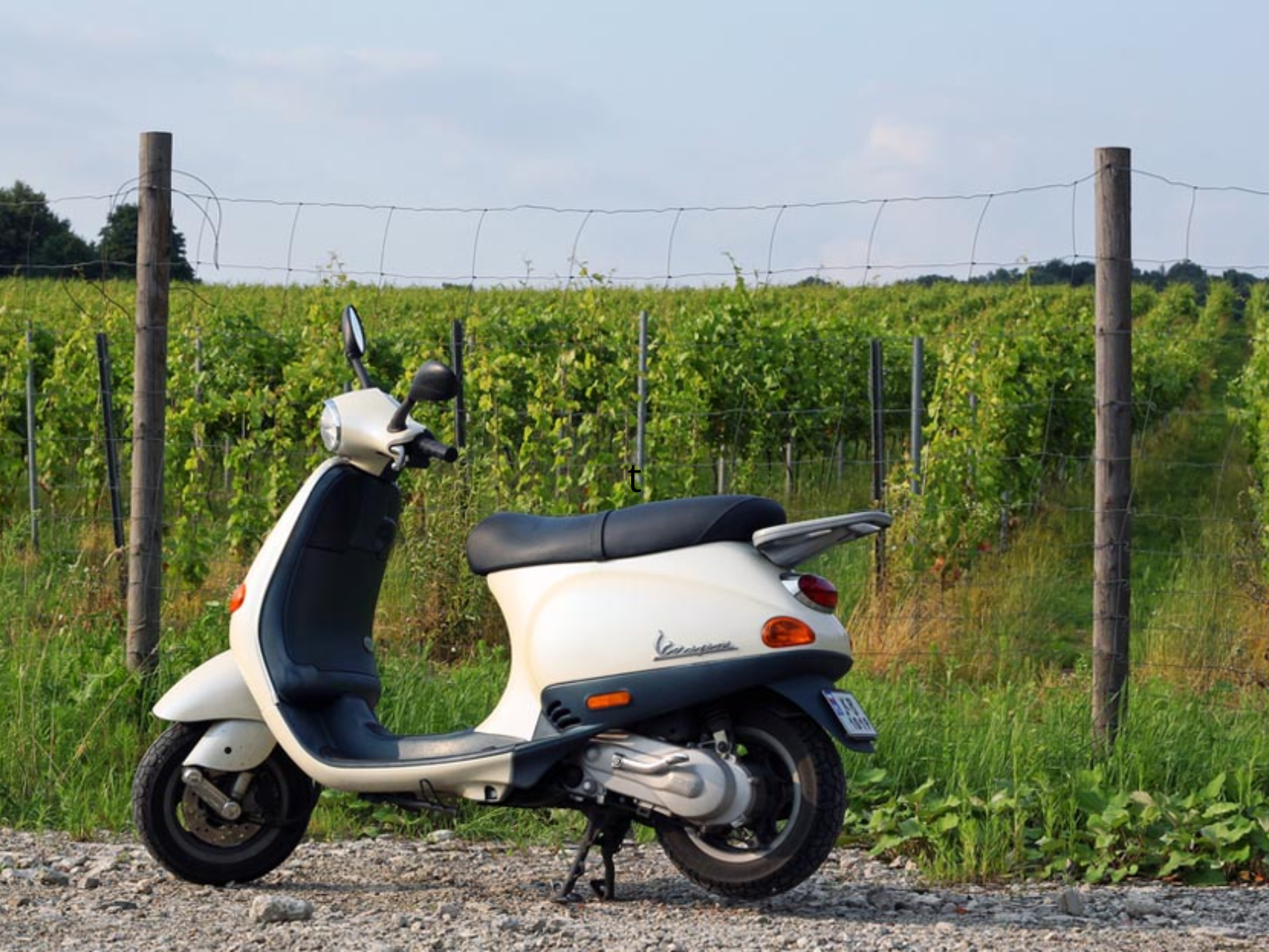 Tuscany by Vespa: Small Group Tour