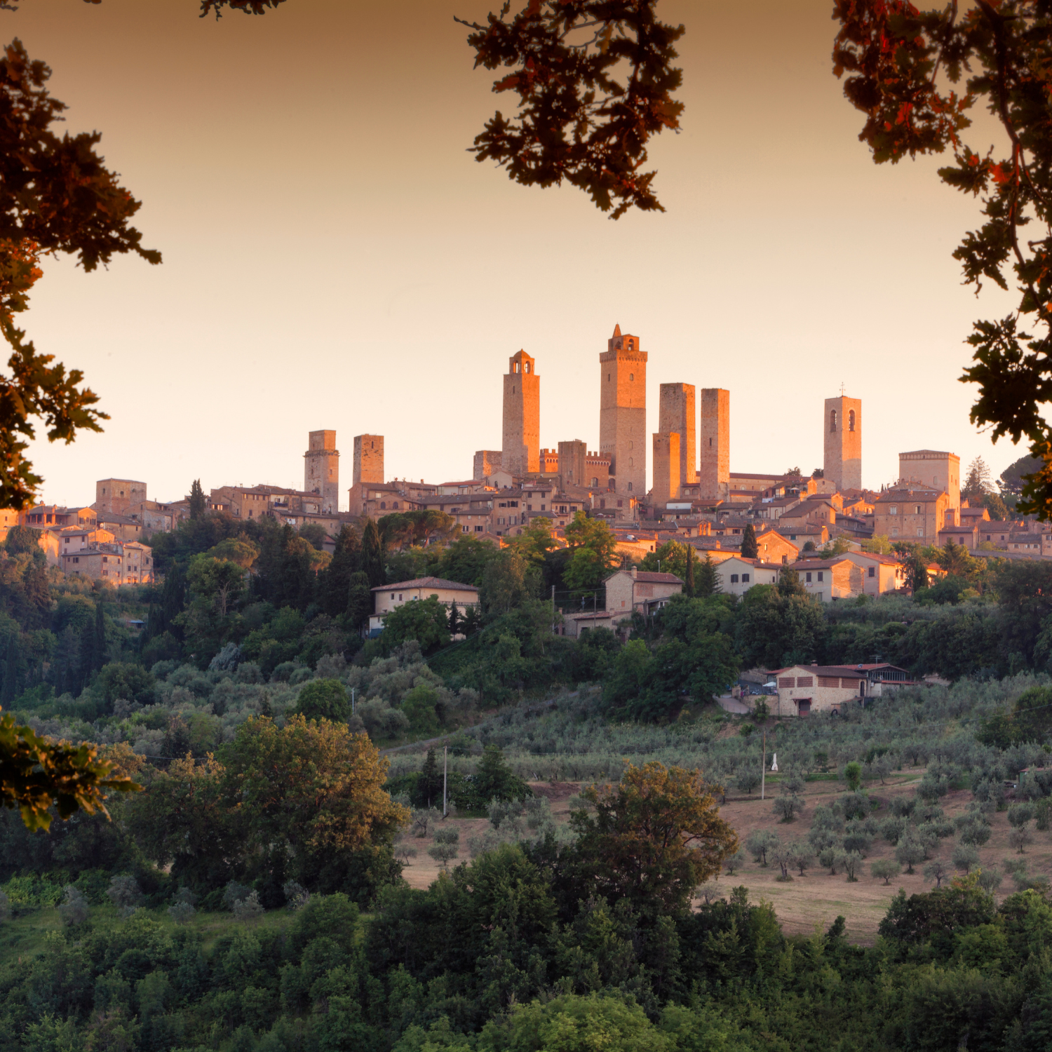 Scopri la bellezza incontaminata della Toscana: San Gimignano, Siena, Monteriggioni e Chianti con degustazione di vini